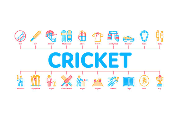 The Practical Value of Cricket Game Minimal Infographic Banner